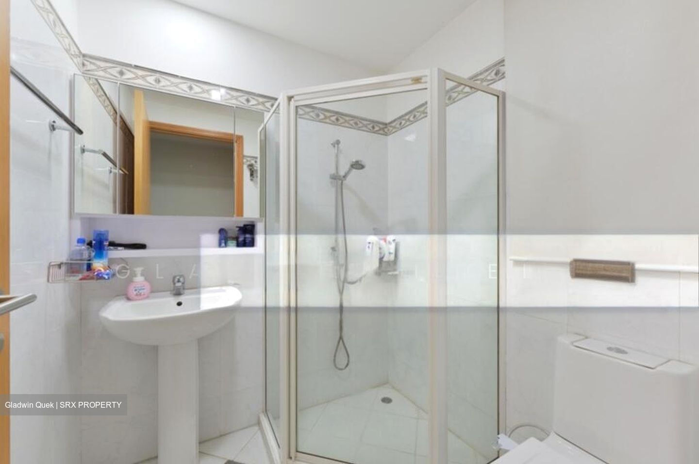 Haig Court (D15), Condominium #513820081